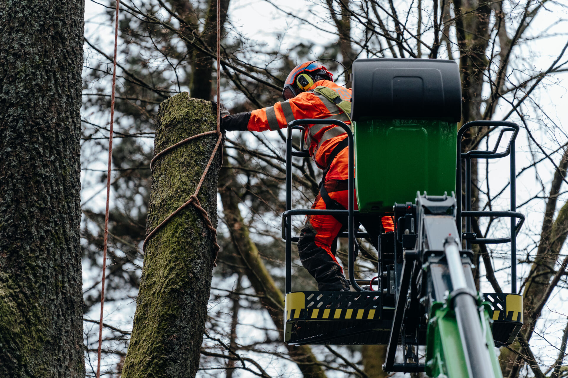 Leguan 265: The perfect machine for any tree work